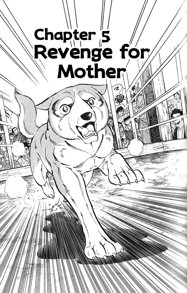 Read Byakuren No Fangu Chapter 21 - Revenge for Mother Online