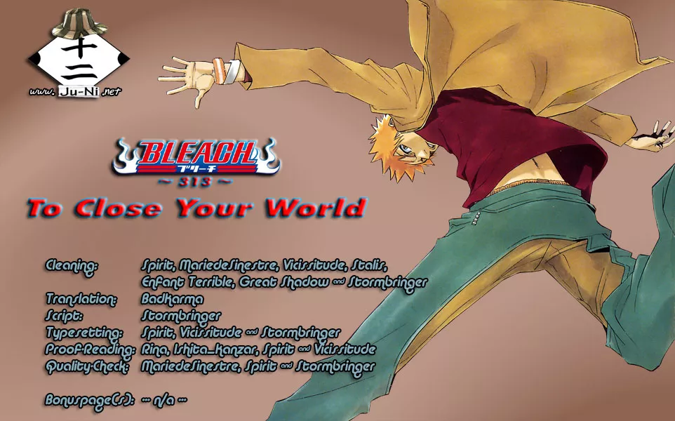 Read Bleach Chapter 313 - To Close Your World Online