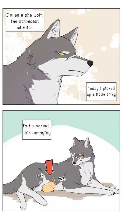 Read The Wolf That Picked Something Up Chapter 3 Online
