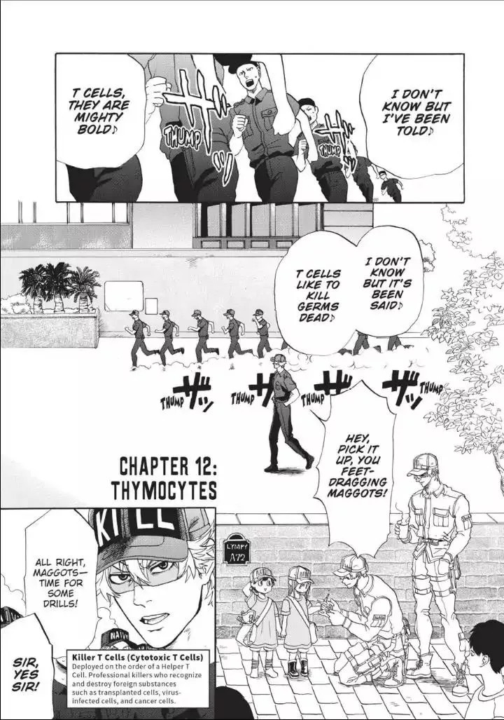 Read Hataraku Saibou Chapter 12 - Thymocytes Online