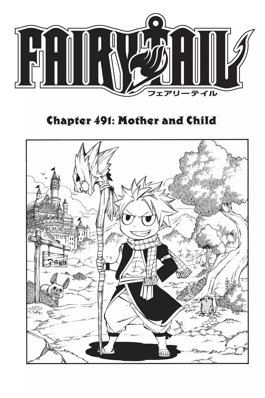 Read Fairy Tail Chapter 491 - Mother And Child Online