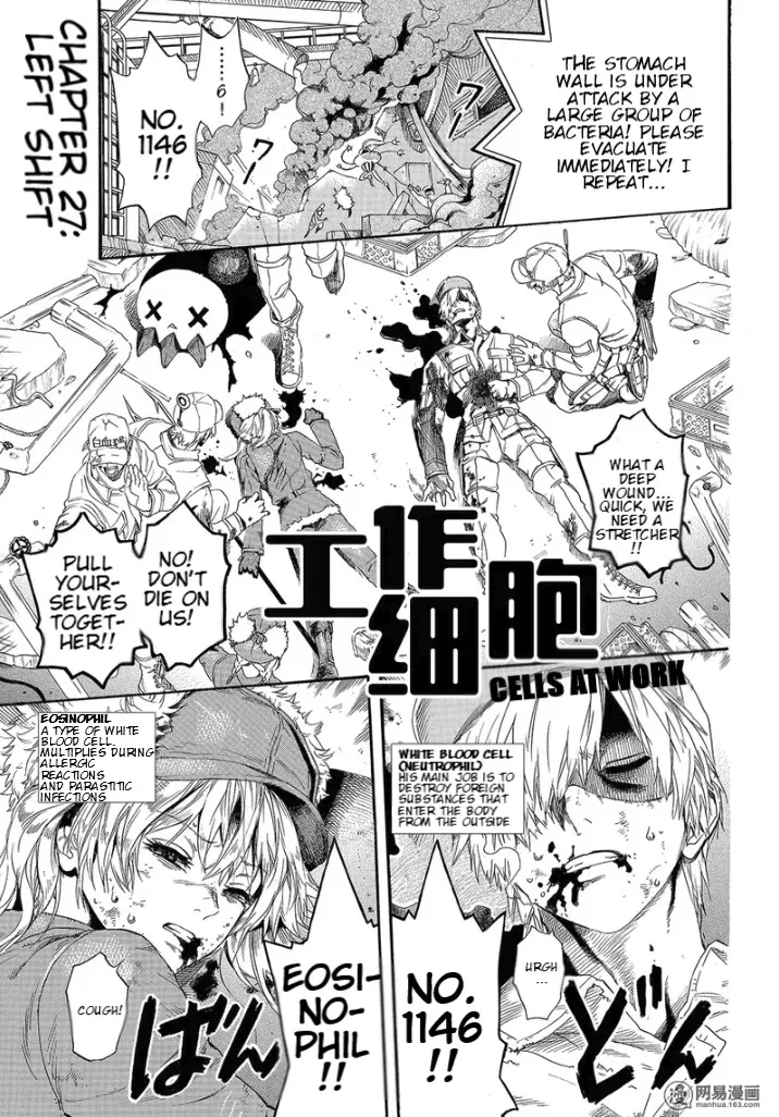 Read Hataraku Saibou Chapter 27 - Left Shift Online