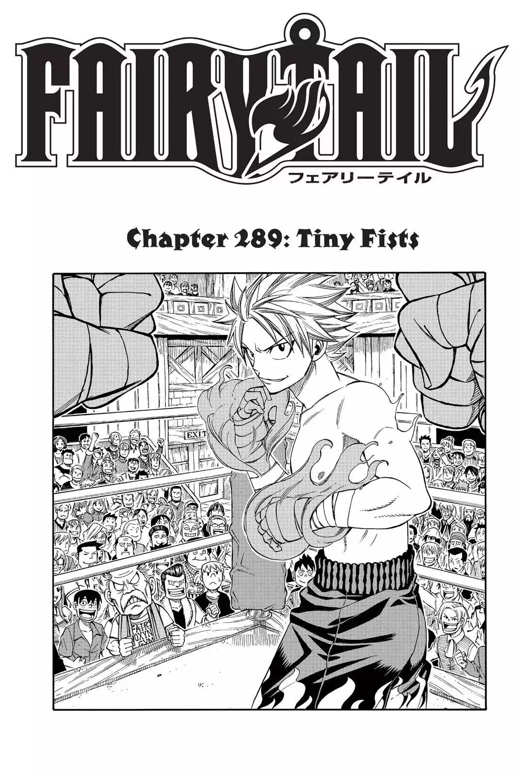 Read Fairy Tail Chapter 289 - Tiny Fists Online