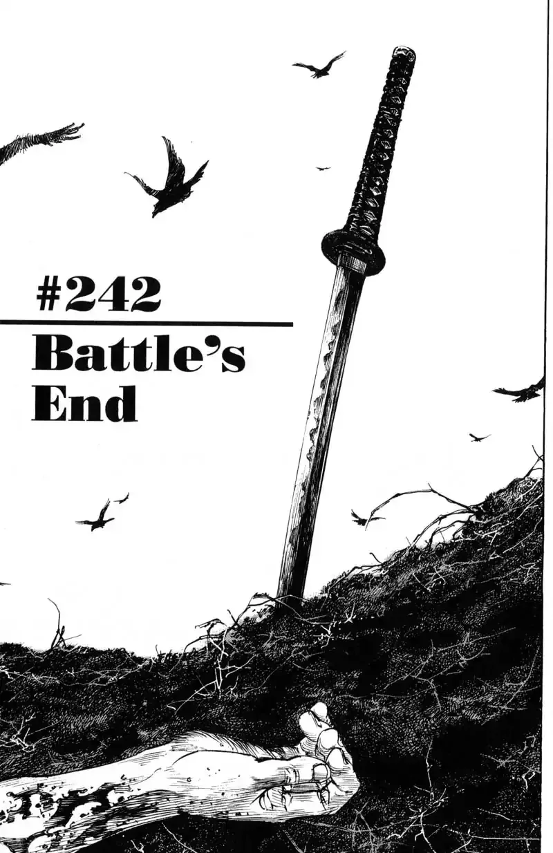 Read Vagabond Chapter 242 - Battle's End Online