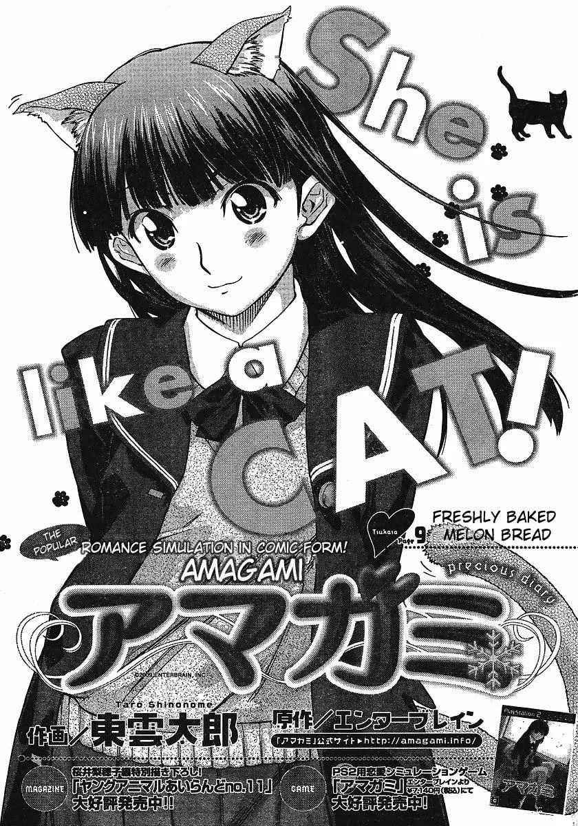 Read Amagami – Precious Diary Chapter 1 - Tsukasa (9) : Freshly Baked Melon Bread Online