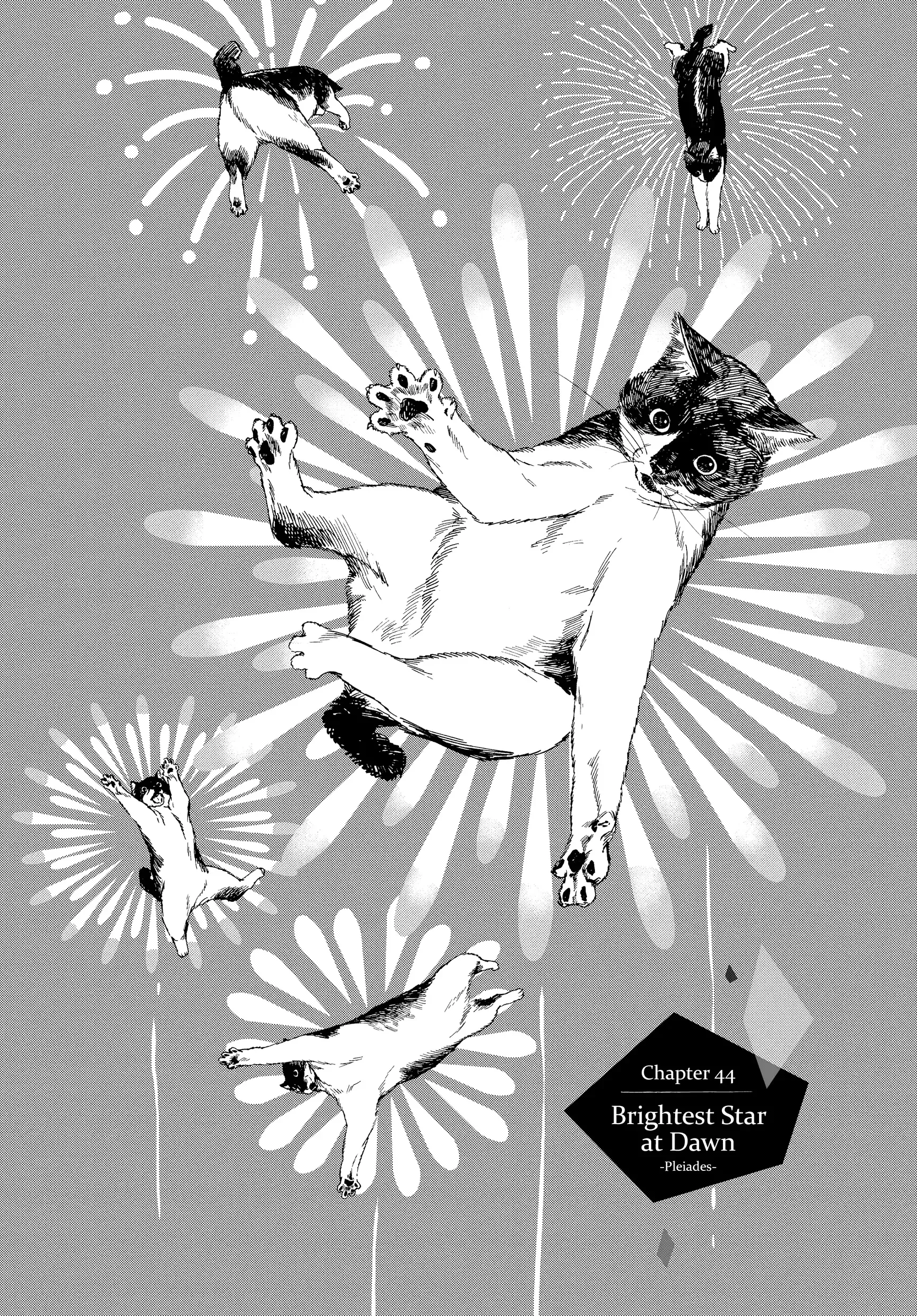 Read Insomniacs After School Chapter 44 Online