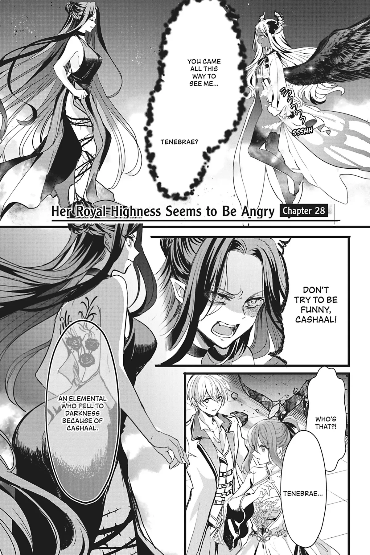 Read Oujo Denka wa Oikari no you desu Chapter 28 Online