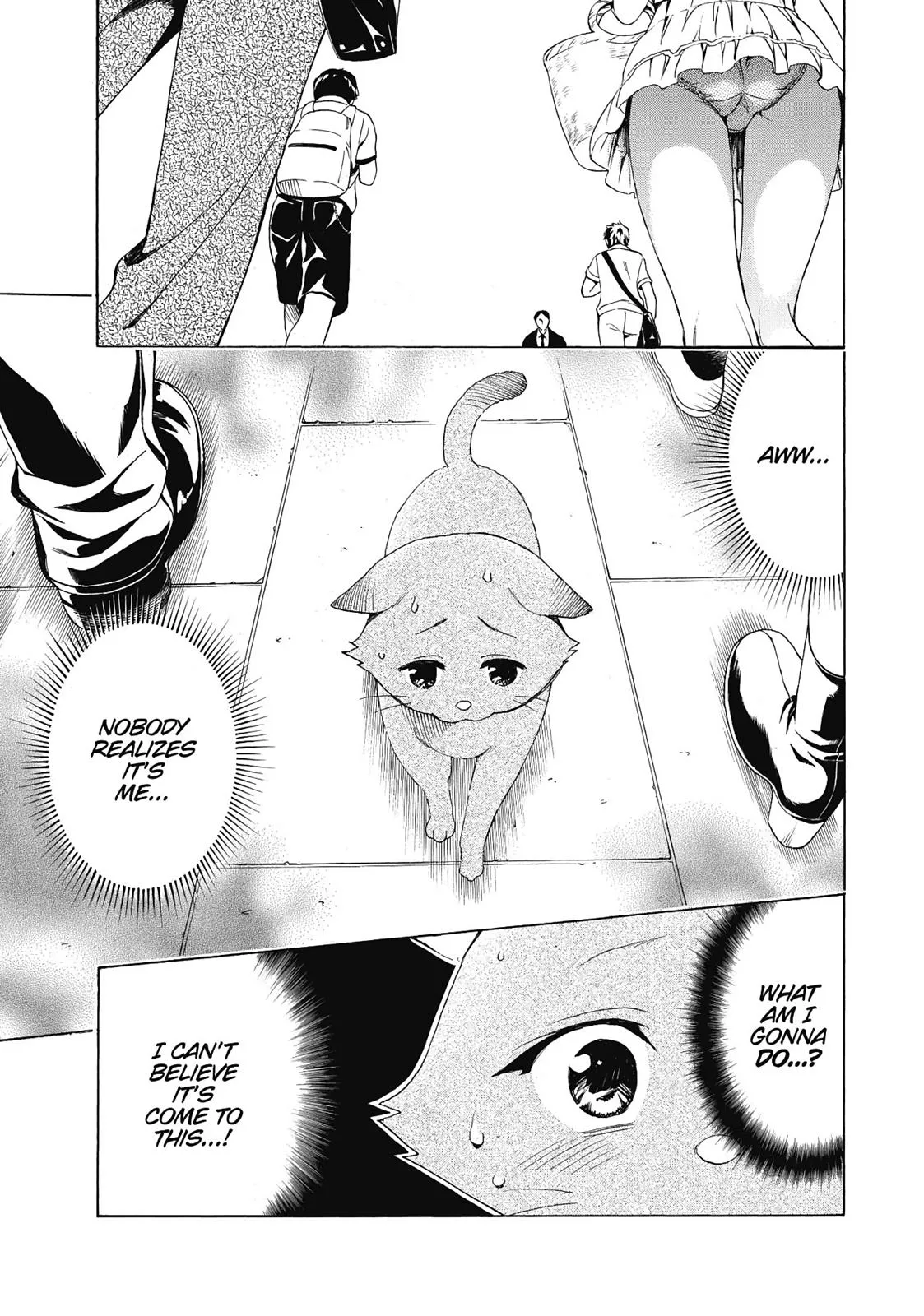 Read To Love Ru Darkness Chapter 16.5 Online