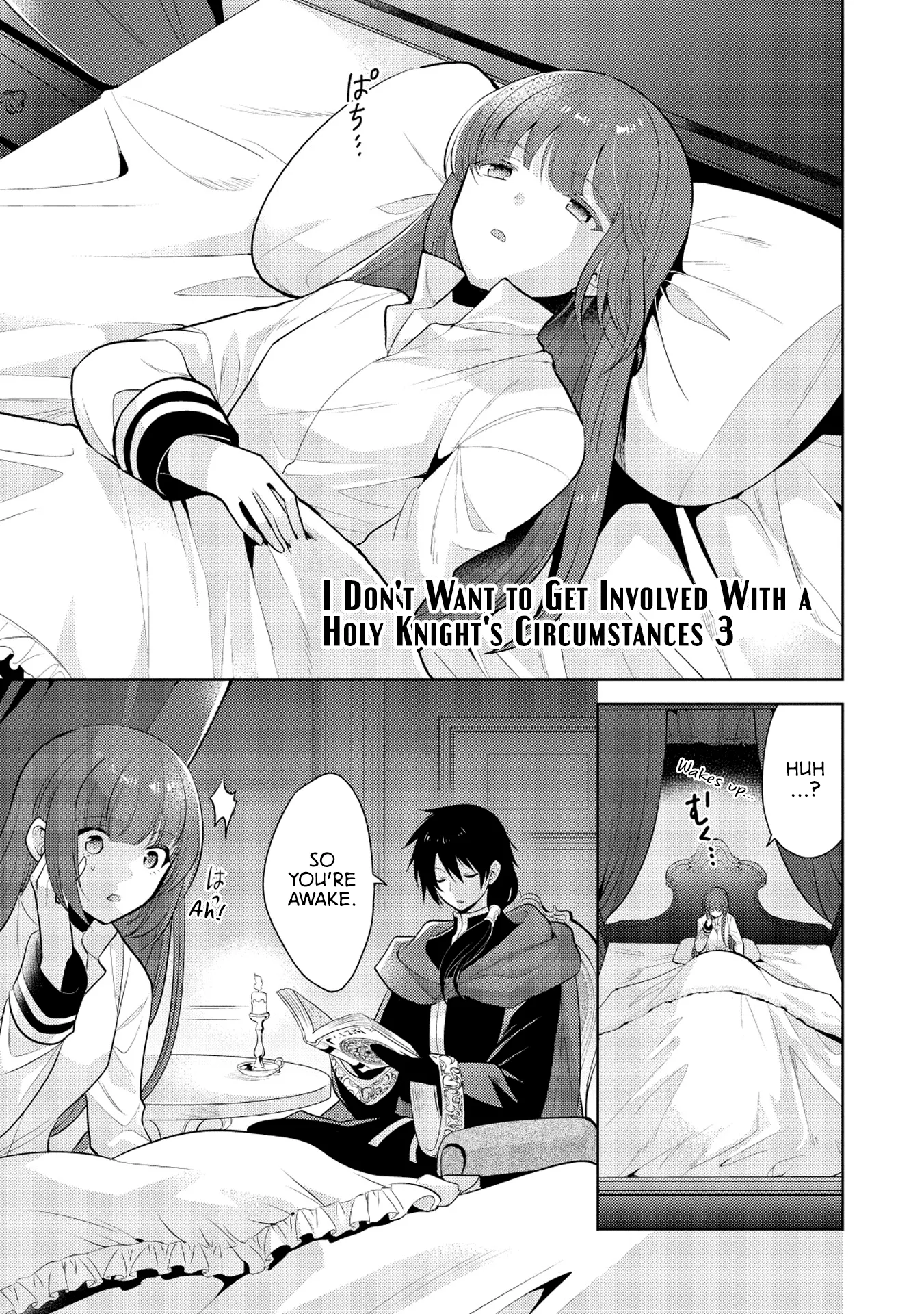 Read Maou no Ore ga Dorei Elf wo Yome ni Shitanda ga, Dou Medereba Ii? Chapter 20 - I Don't Want To Get Involved With A Holy Knight's Circumstances (3) Online