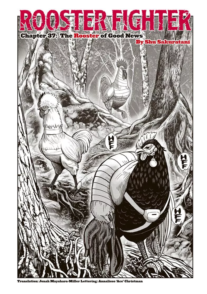 Read Rooster Fighter Chapter 37 Online