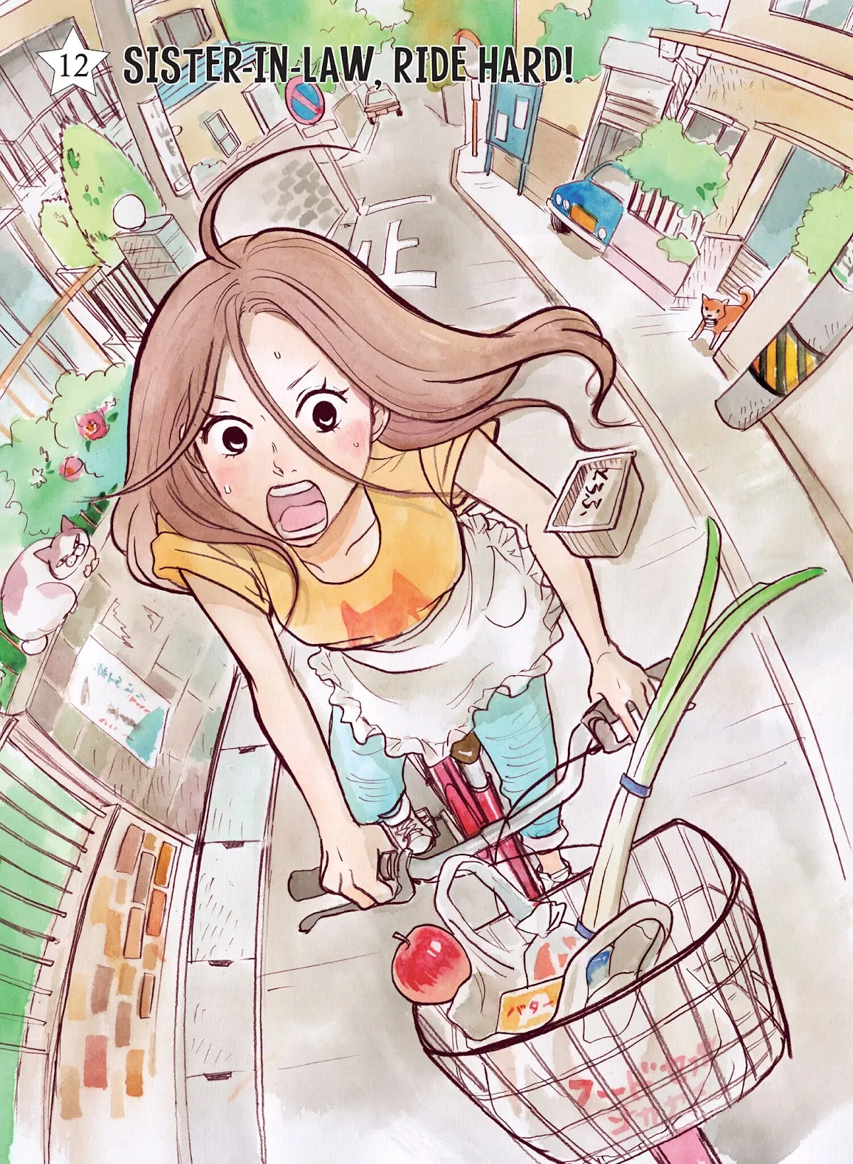 Read Futsutsuka na Yome desu ga! Chapter 12 - Sister-In-Law, Ride Hard! Online