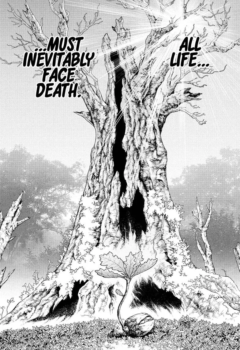 Read Dr. Stone Chapter 230 Online