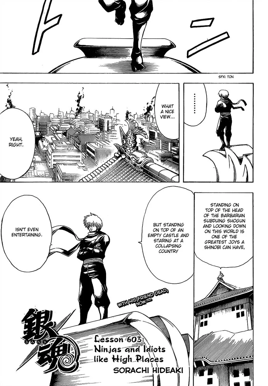 Read Gintama Chapter 603 - Ninjas and Idiots like High Places Online