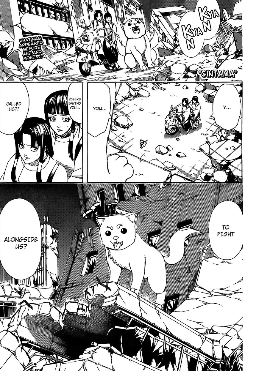 Read Gintama Chapter 651 - When You Need a Hand, Ask A Beast With Paw Pads Online