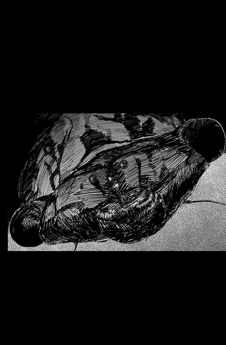Read An Eye for an Eye Chapter 55 Online