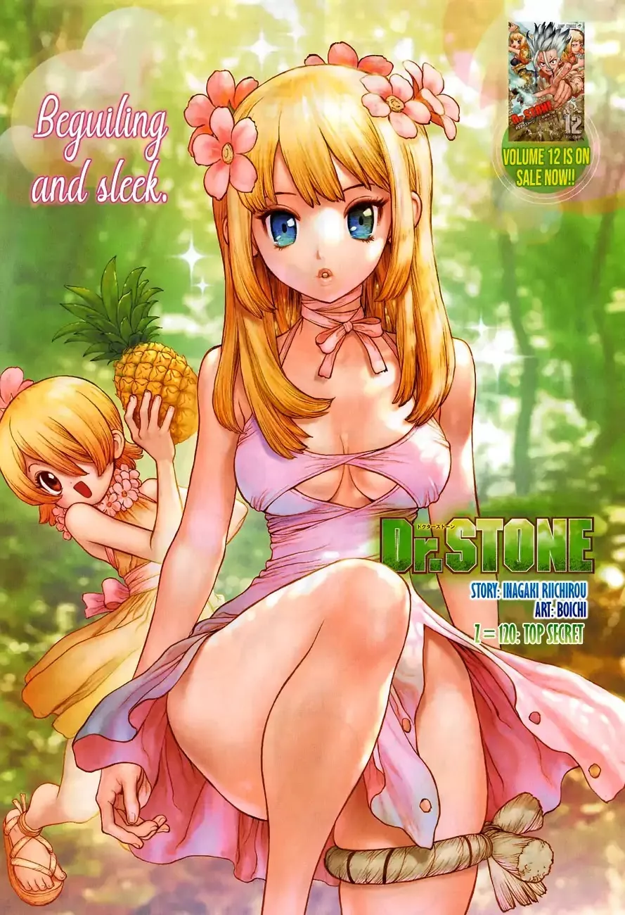 Read Dr. Stone Chapter 120 - Top Secret Online