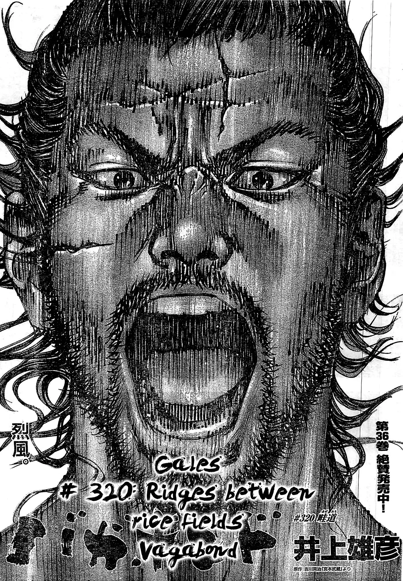 Read Vagabond Chapter 320 - Ridges Between Rice Fields Online