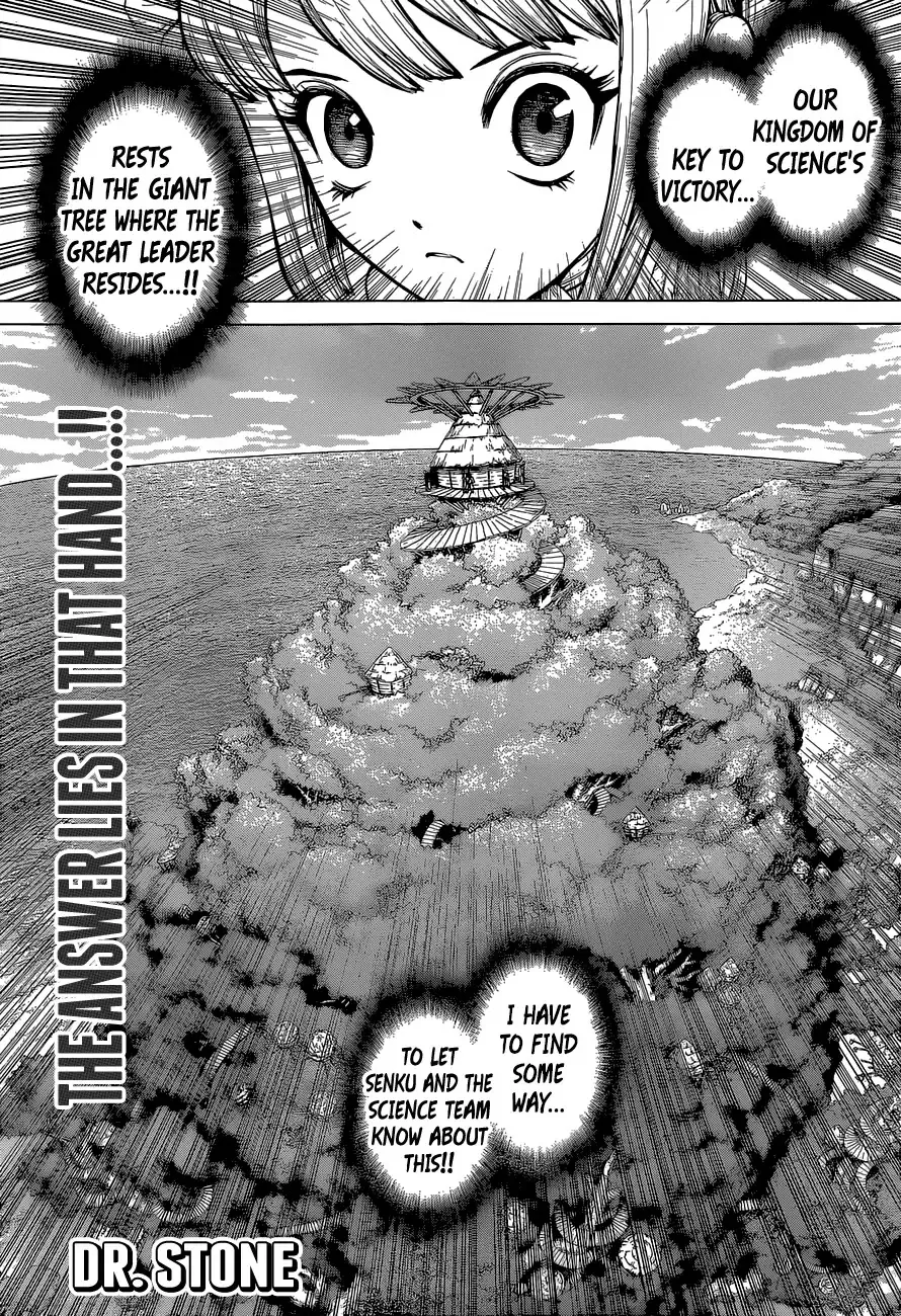 Read Dr. Stone Chapter 113 - The Science of Encoded Communication Online