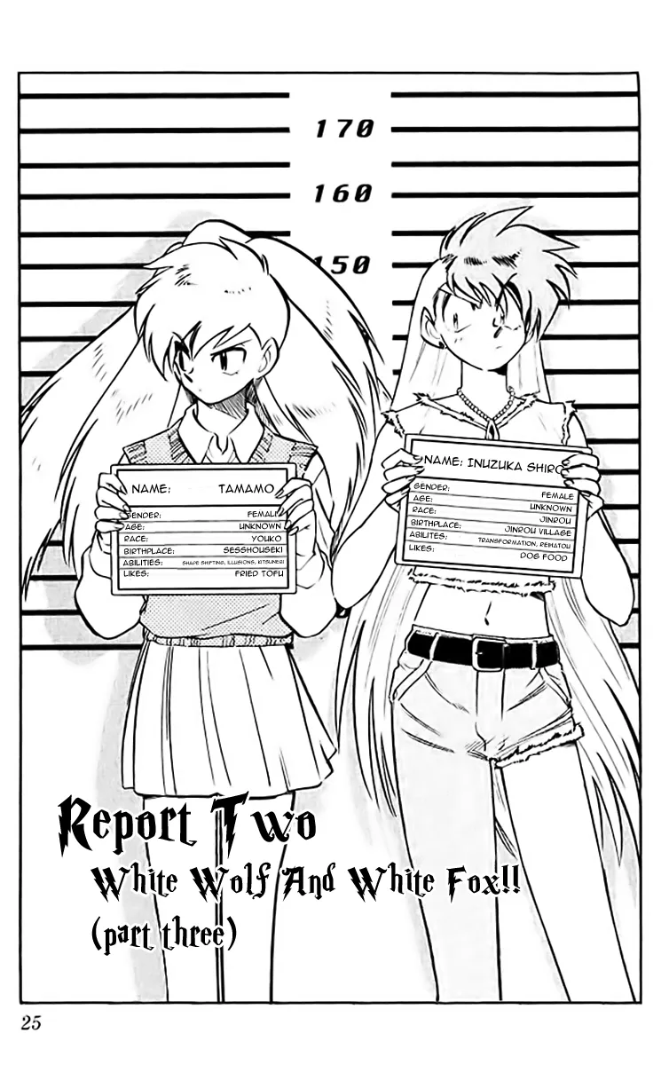Read Ghost Sweeper Mikami: Operation Paradise! Chapter 363 - Report 2 - White Wolf and White Fox!! (Part Three) Online