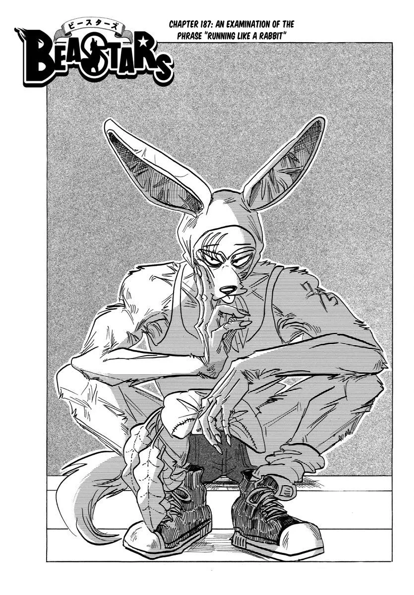 Read Beastars Chapter 187 - An Examination of the Phrase "Running Like a Rabbit Online