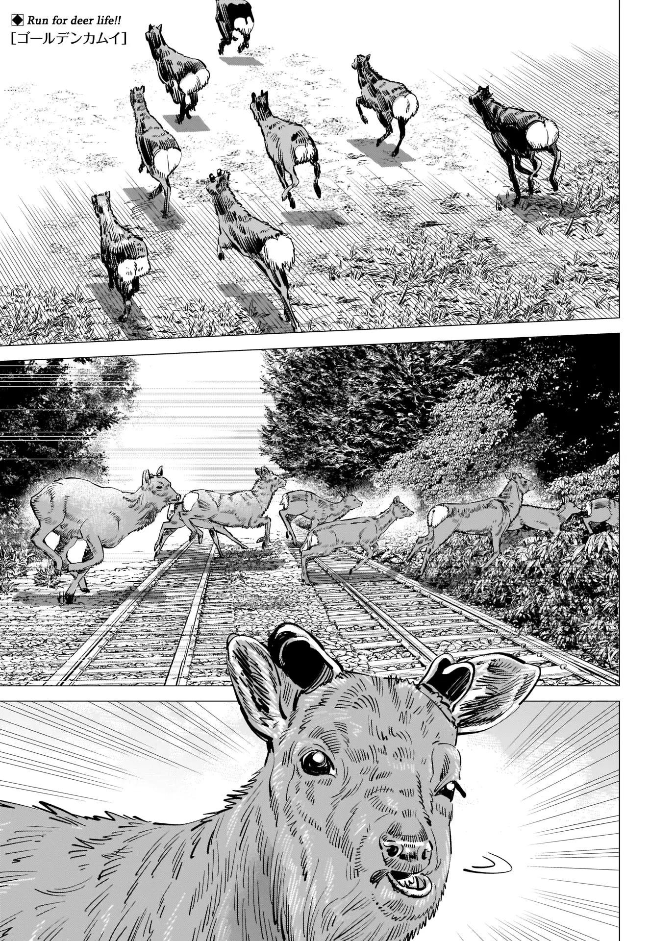 Read Golden Kamuy Chapter 303 - Runaway Train Online