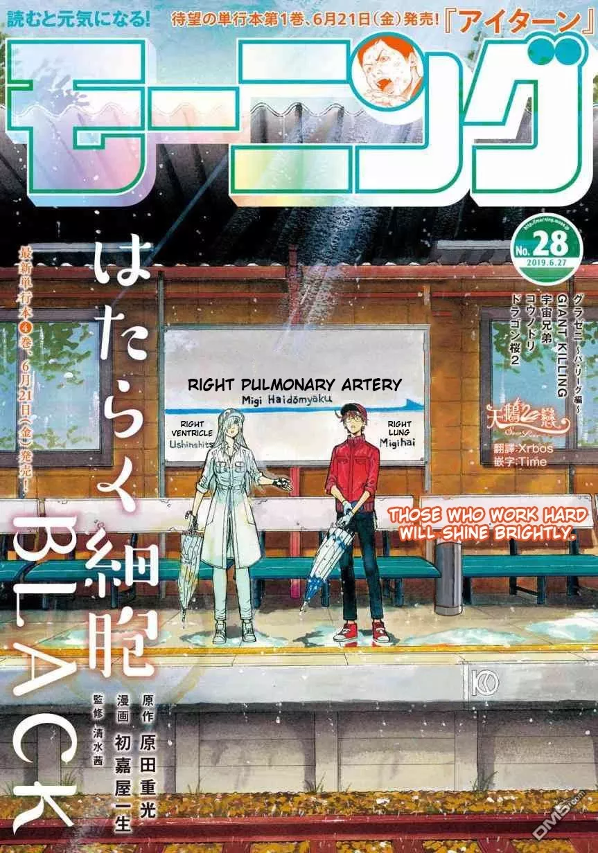 Read Hataraku Saibou BLACK Chapter 27 - Sleep Apnea, Sentimentality, Reality Online