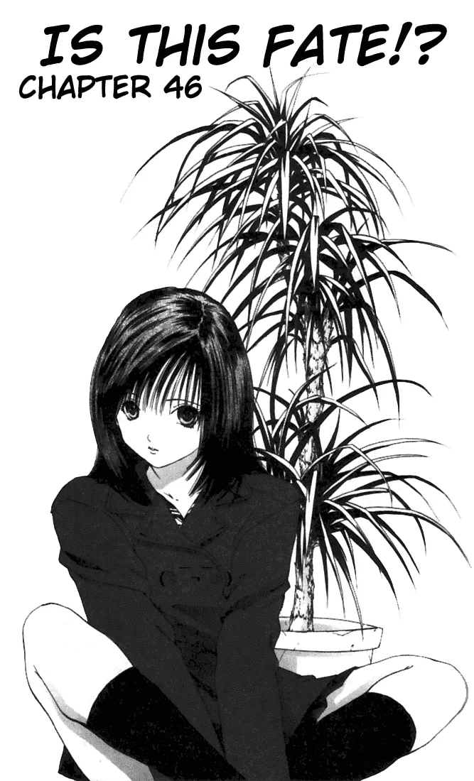 Read Ichigo 100% Chapter 46 - Is This Fate! Online