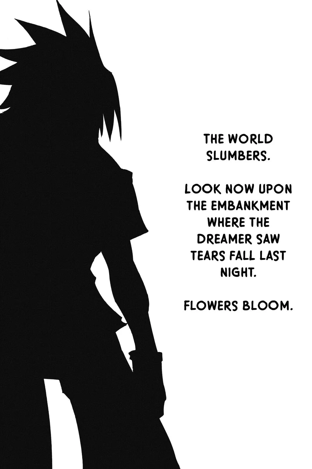 Read Shaman King Chapter 300.5 Online