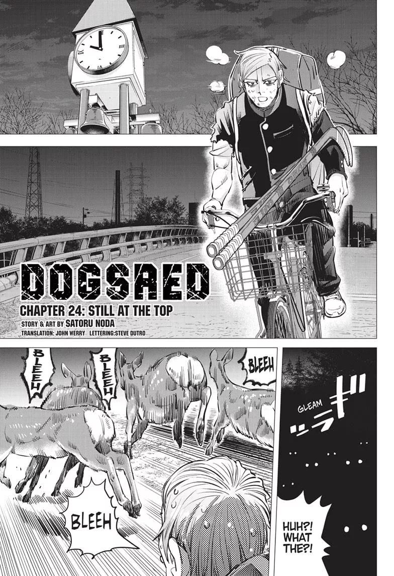 Read DOGSRED Chapter 24 Online