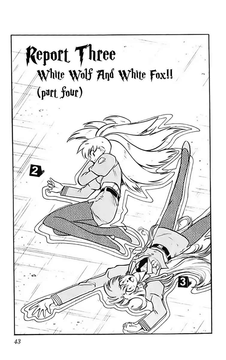 Read Ghost Sweeper Mikami: Operation Paradise! Chapter 364 - Report 3 - White Wolf and White Fox!! (Part Four) Online
