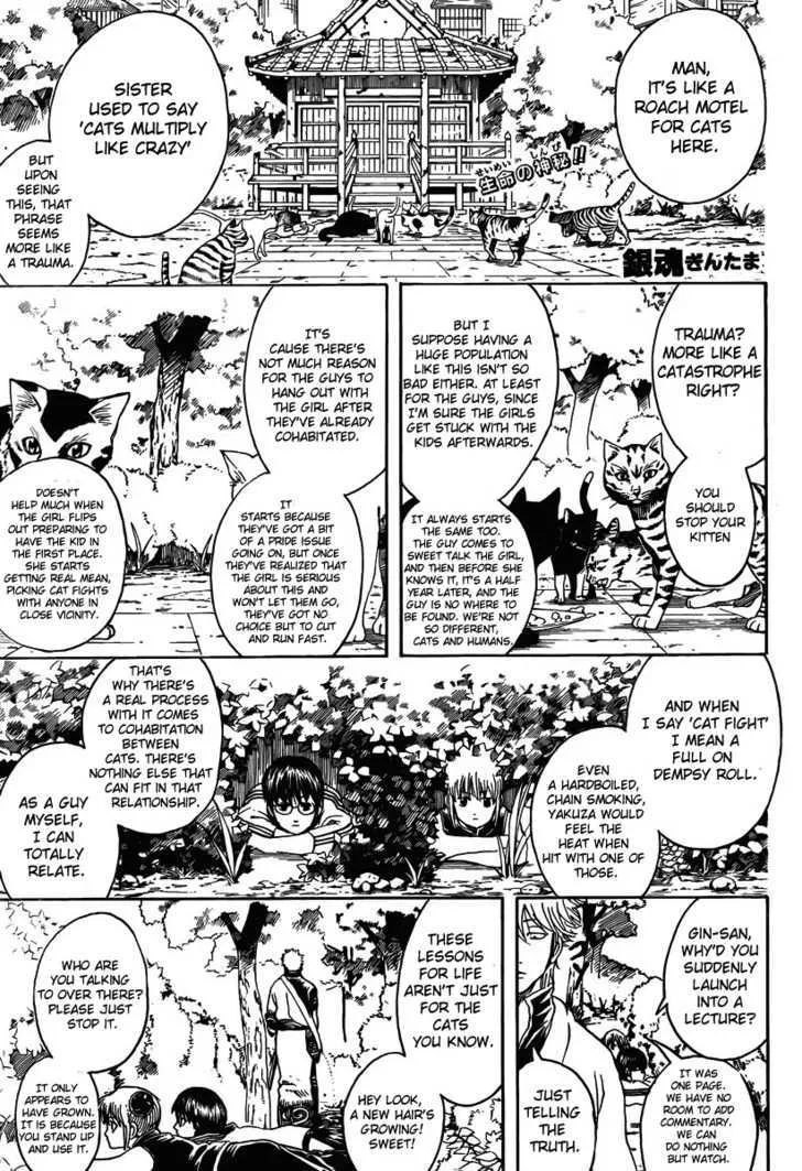 Read Gintama Chapter 275 - When Looking For Something. Try Thinking From It's Point Of View Online