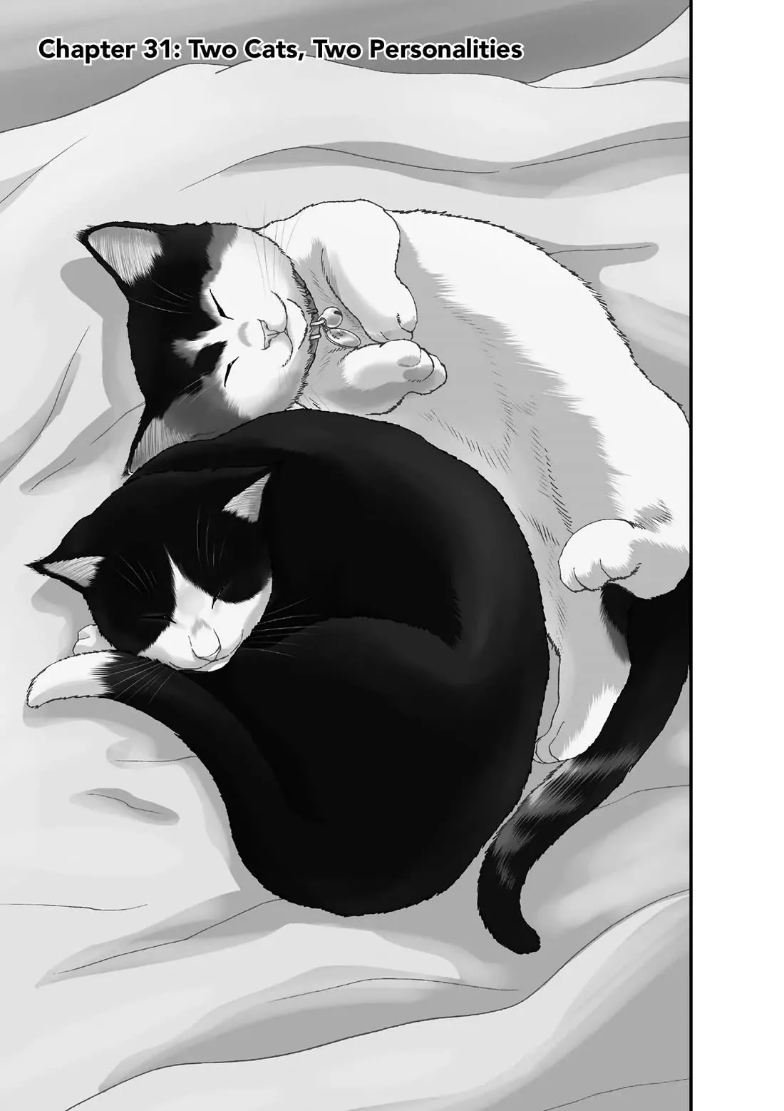 Read A Gamer Living with a Cat Chapter 31 - Two Cats, Two Personalities Online