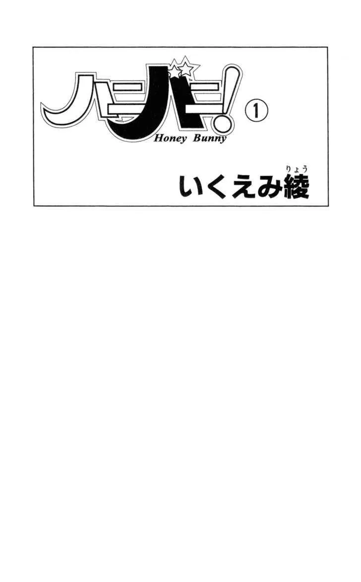 Read Honey Bunny! Chapter 1 Online