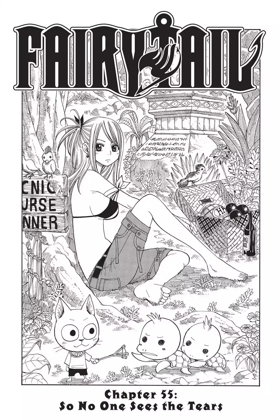 Read Fairy Tail Chapter 55 - So No One Sees The Tears Online