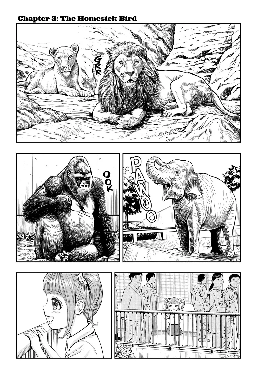 Read Rooster Fighter Chapter 3 Online