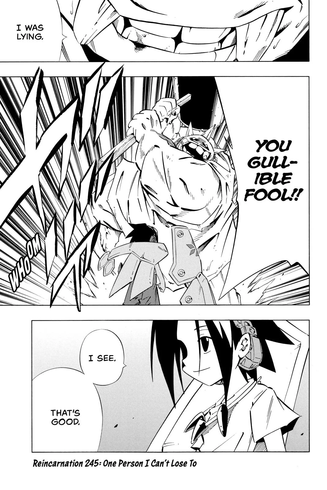 Read Shaman King Chapter 245 Online