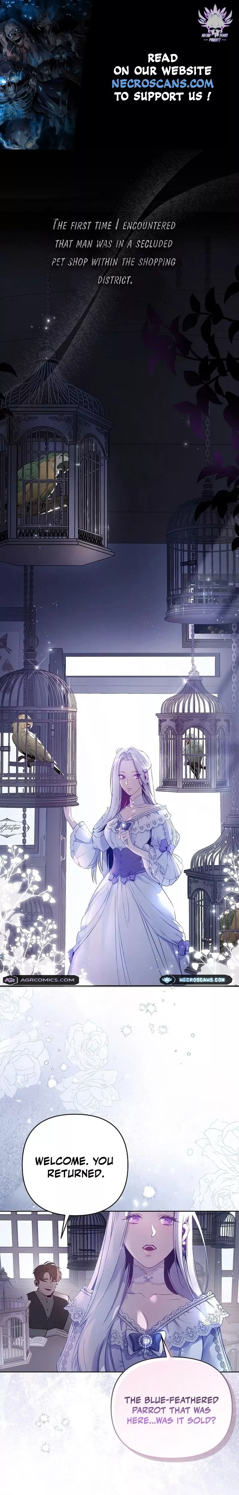 Read The Dark Duke’s Pet Bird Chapter 1 Online