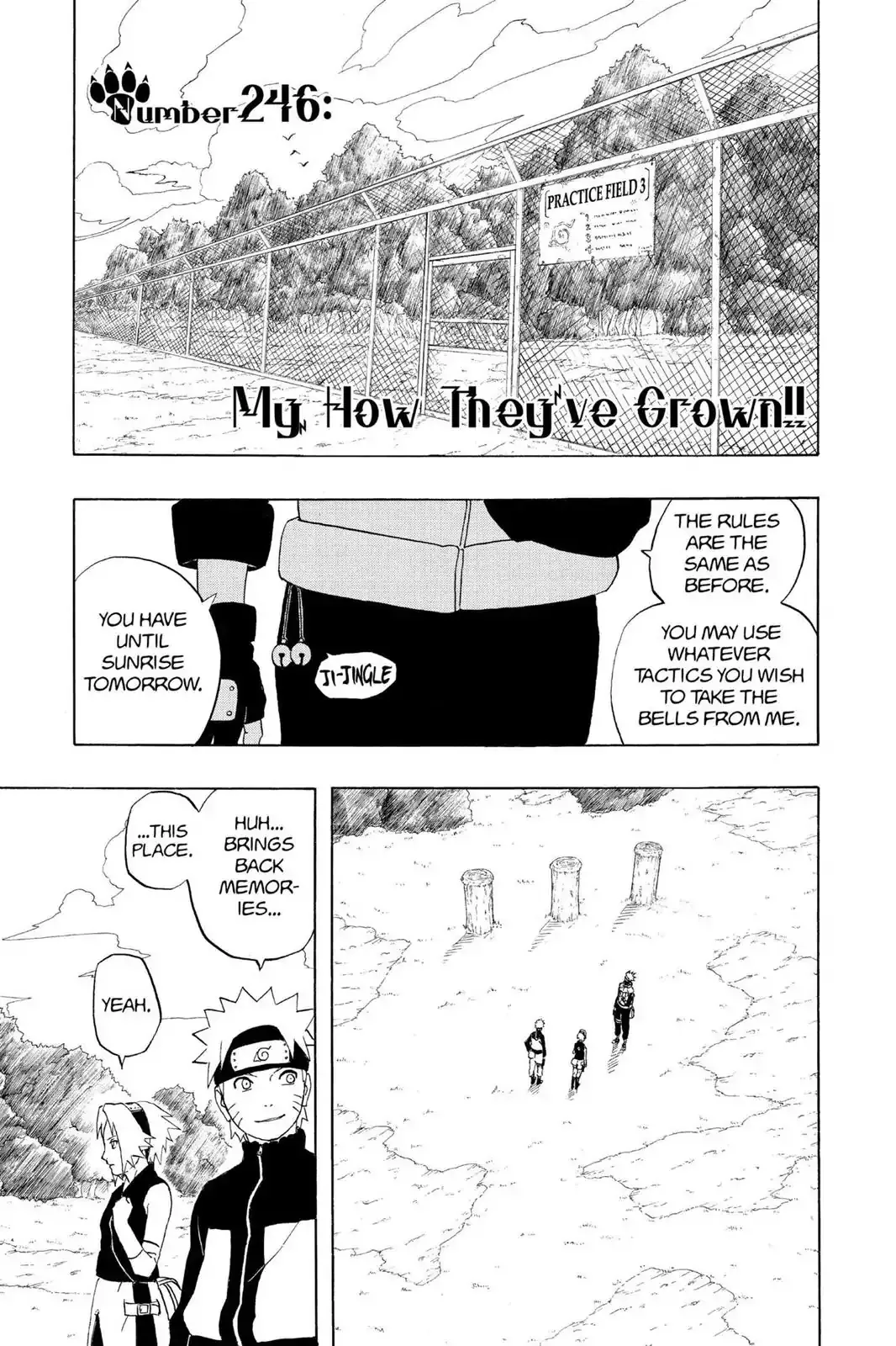 Read Naruto Chapter 246 - My, How They've Grown!! Online